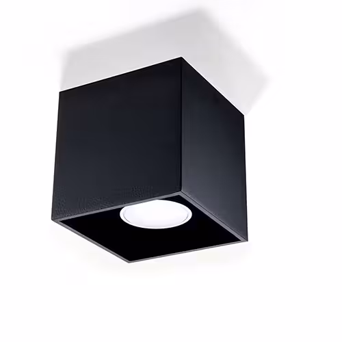 Deckenleuchte in schwarz